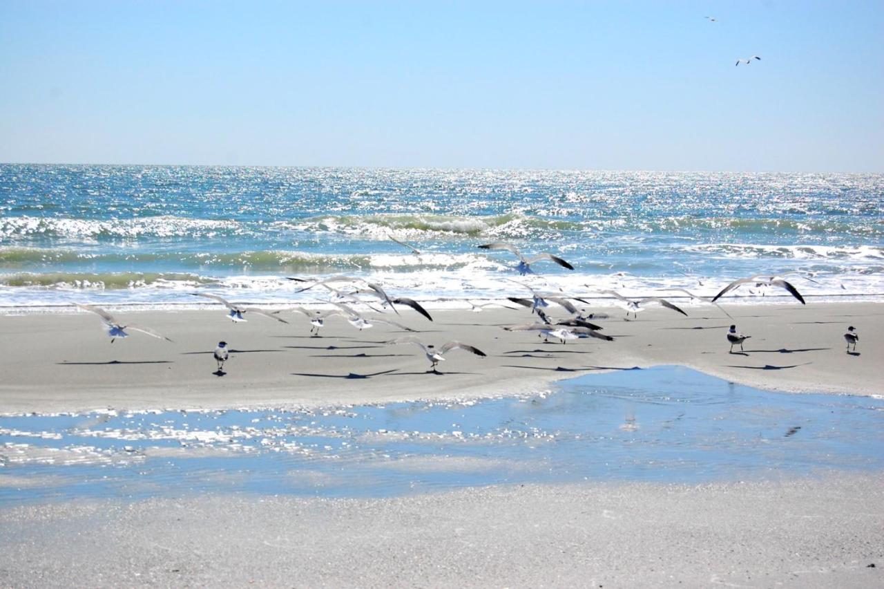 Ocean Dunes Villa 5103 Myrtle Beach Esterno foto